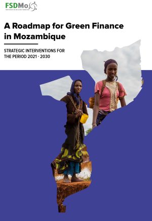 A Roadmap for Green Finance in Mozambique_Final-1
